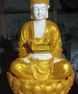 78112634-698c-4299-a5f1-565bb0747f0d-504x1122