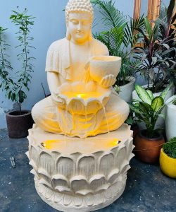 78112634-698c-4299-a5f1-565bb0747f0d-504x1122