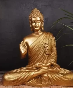 WhatsApp-Image-2022-10-07-at-12.58.51-PM